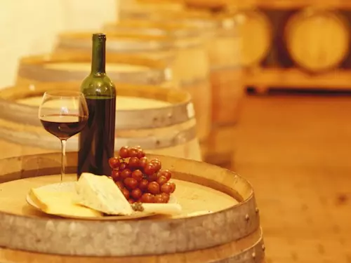 Stálá degustacní expozice Salonu vín CR je umístena v historických budovách zámku Valtice, v prostorách Národního vinarského centra