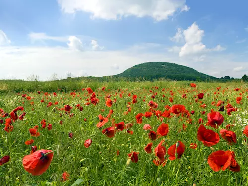 Hora Říp – nejpamátnější hora českého národa