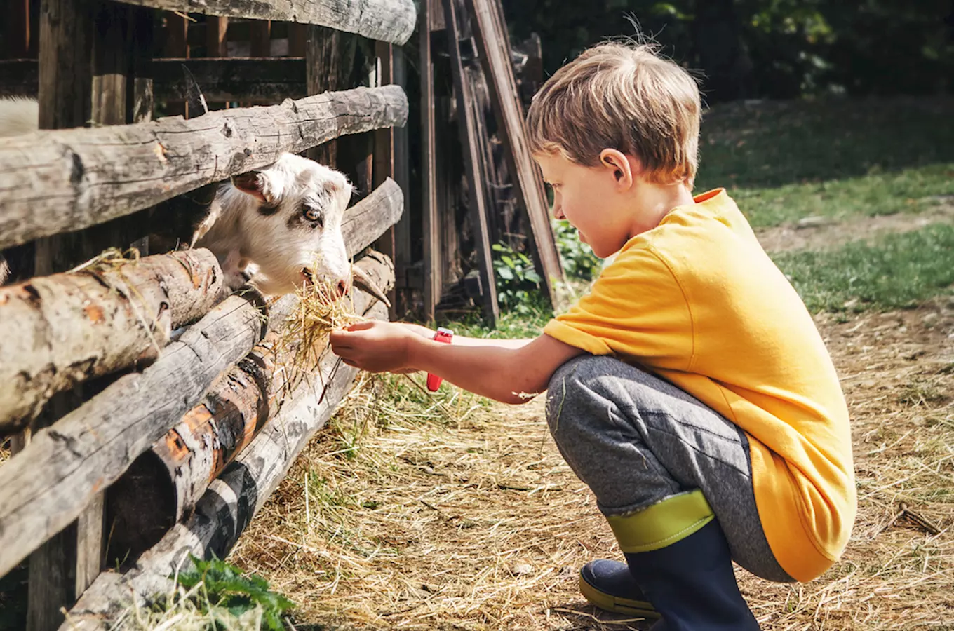 Rodinné farmy a ranče: venkov láká na romantiku, zážitky a dobré jídlo
