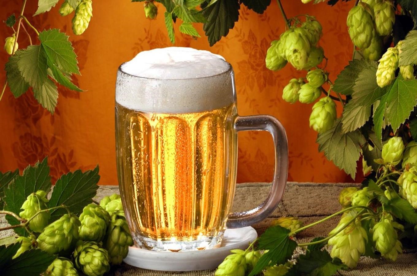 Pivní festival patří mezi nejlepší akce na světě