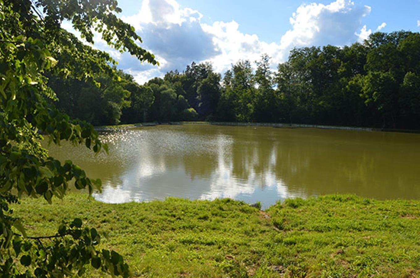 Panské rybníky u Bouzova