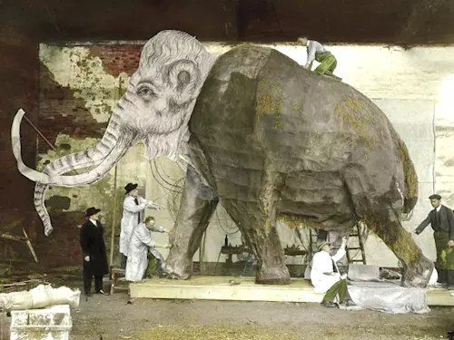 Mamut slaví 90. narozeniny v Pavilonu Anthropos