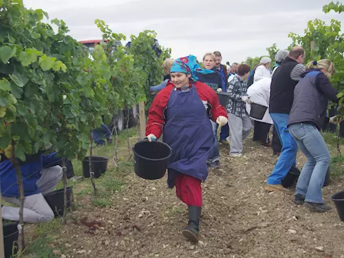 Retro vinobraní a Mistrovství ve sběru hroznů ve Valticích 2022