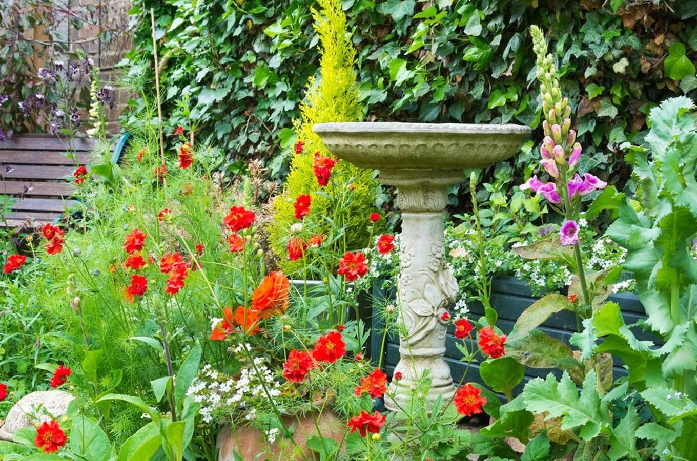 Provorepubliková Jindrova zahrada rozkvetla v Litomyšli do krásy