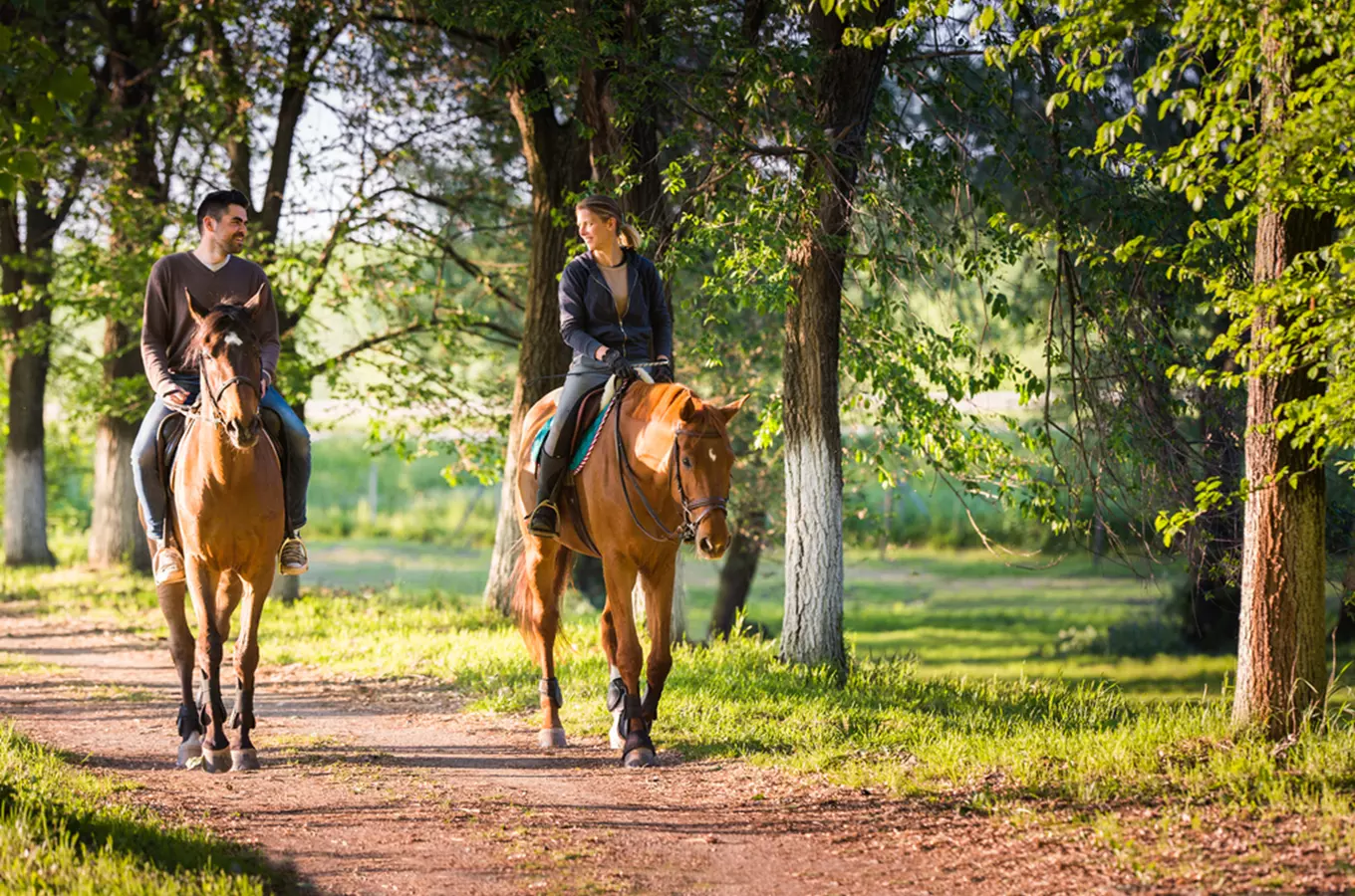 Nejkrásnější pohled na svět je ze hřbetu koně: 35 tipů na ranče, jízdárny a koňské stezky