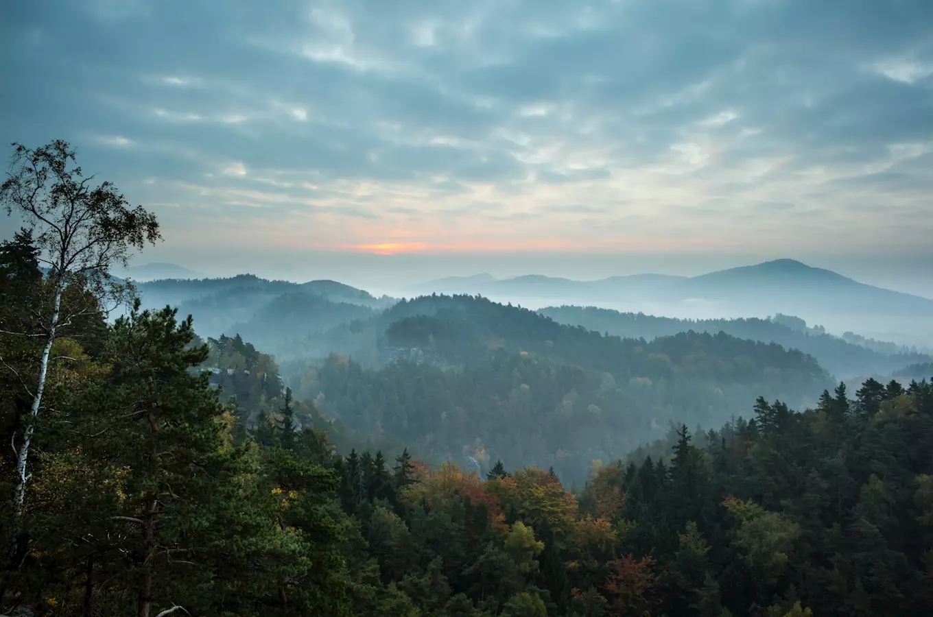 Kvůli hnízdění vzácných ptáků je omezen vstup do Národního parku České Švýcarsko
