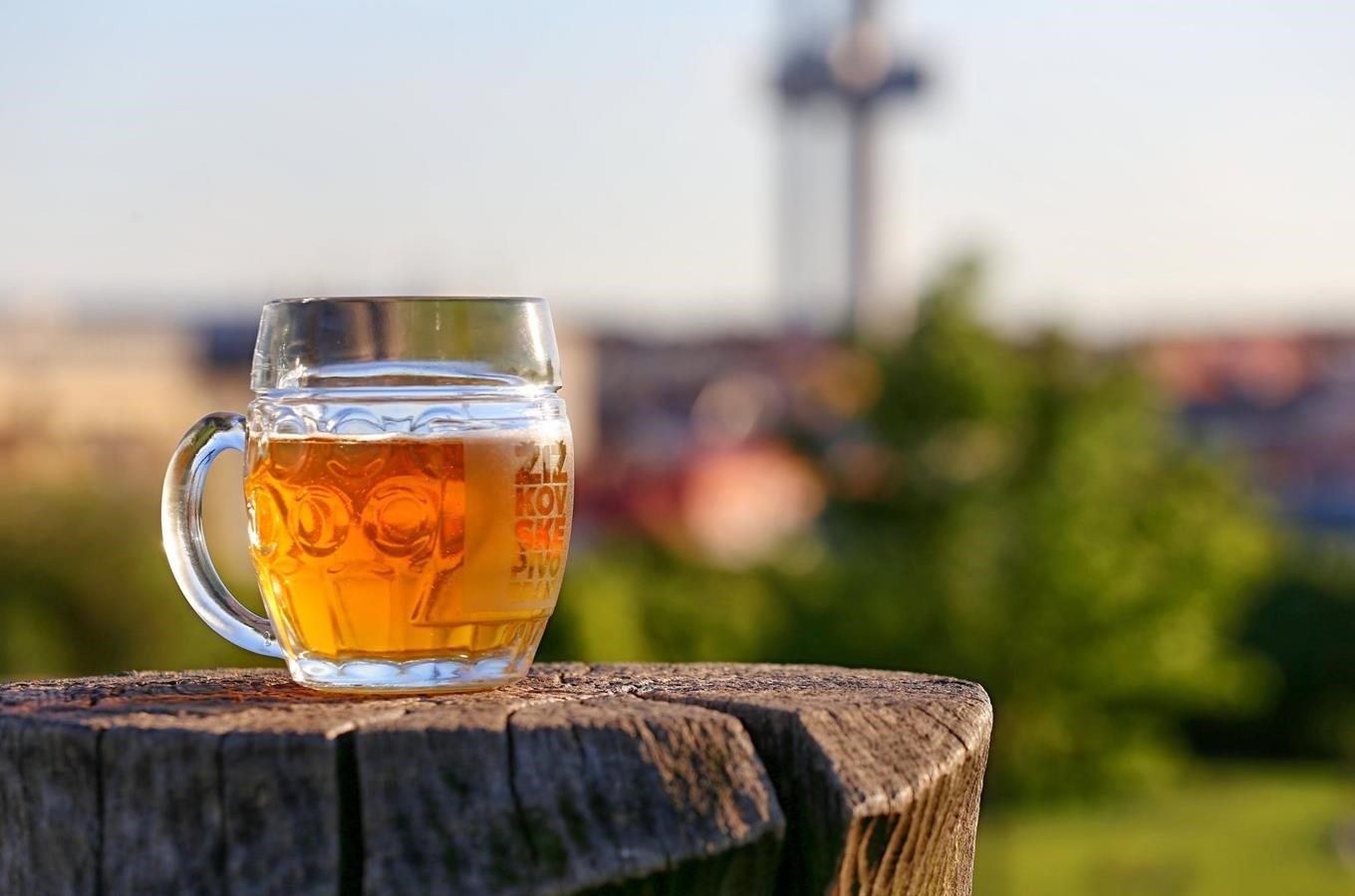 Pivní festival Žižkovské pivobraní nabídne více než sto druhů chmelového nápoje