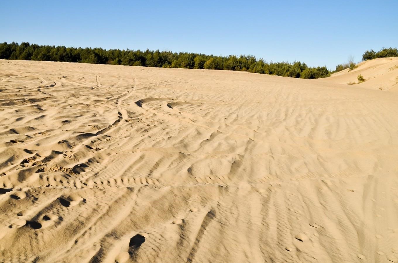 Váté písky u Bzence - moravská Sahara