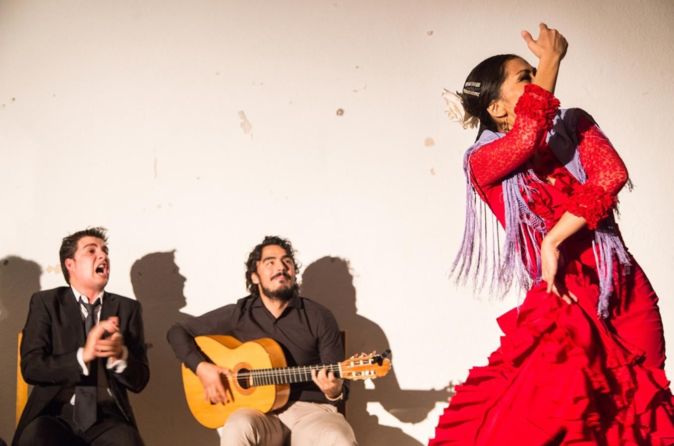 Mezinárodní den flamenka se bude slavit v Praze, Olomouci i Českých Budějovicích