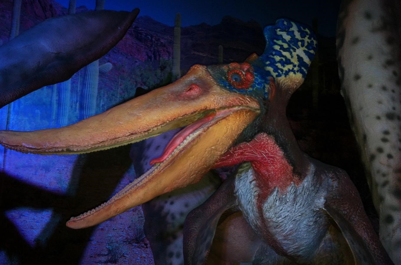S dinosaury v životních velikostech se potkáte v Teplicích
