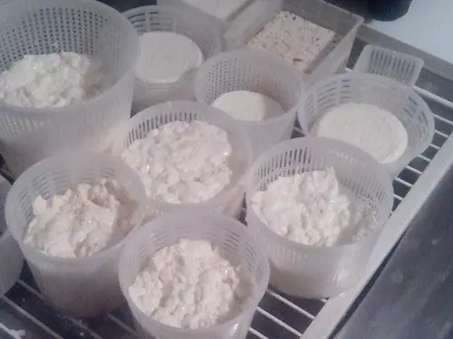 Kurzy domácí výroby sýrů