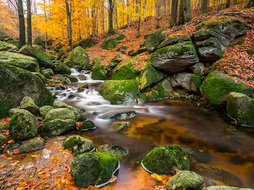 Kde je podzim nejkrásnější? Tipy pro milovníky fotografování a přírody 