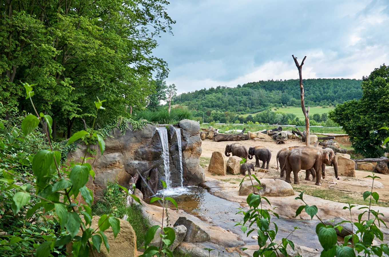 Nejnavštěvovanější místa v kategorii Zoo, zahrady a akvária: Praha, Zlín a Safari park Dvůr Králové