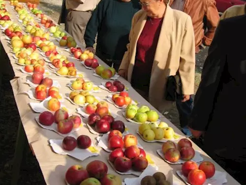Výstava jablek v Hostetíne