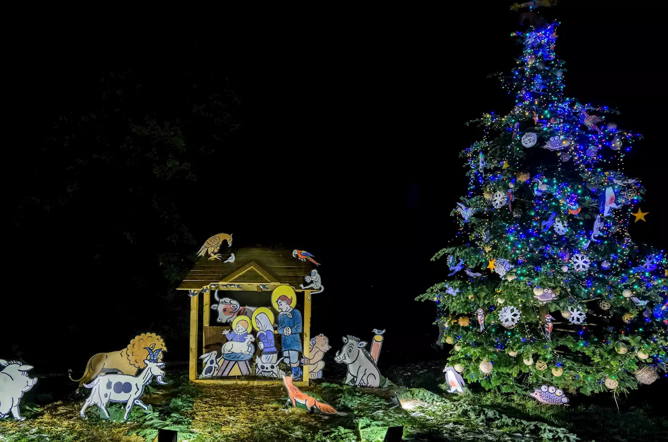 O víkendu se v Zoo Praha rozsvítí vánoční strom