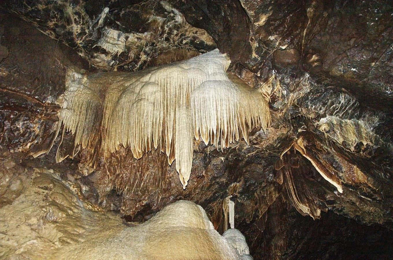 Prohlídky Amatérské jeskyně v Moravském krasu