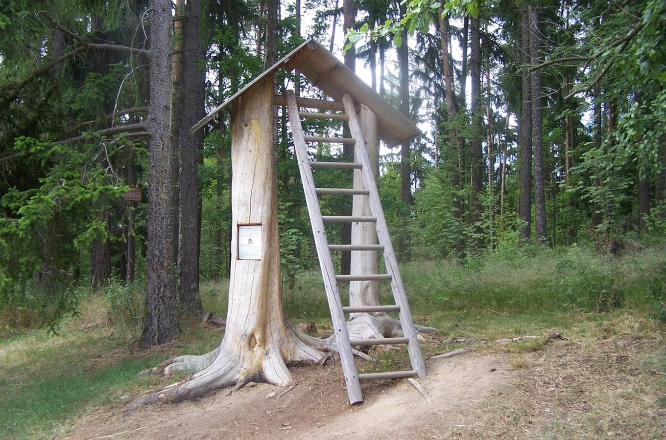 Cesta pohádkovým lesem u Slavonic - turistická trasa pro děti