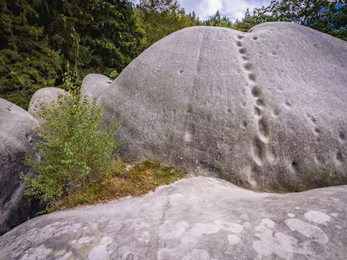 Bílé kameny u Jítravy v Lužických horách – Sloní skály