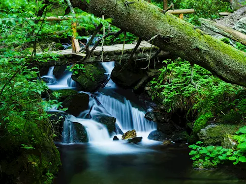 Vodopády Bílé Opavy – kouzlo přírody Jeseníků