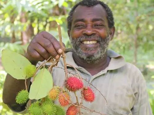 Africké trhy ve Svitavách