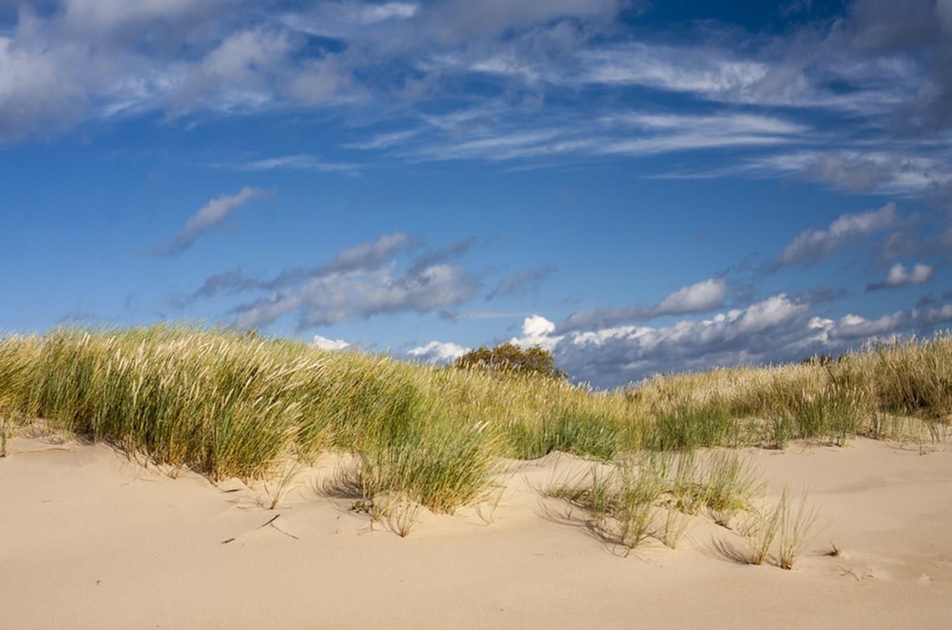 10 tipů, kam se u nás vydat za písečnými dunami