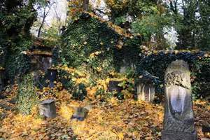 olšanské hřbitovy
